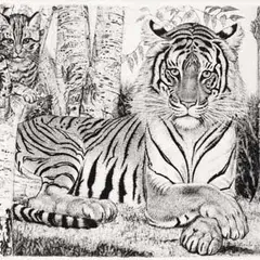 Eduard Wiiralt, Tiiger kassiga, 1937, Pehmelakk, kuivnõel