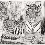 Eduard Wiiralt, Tiiger kassiga, 1937, Pehmelakk, kuivnõel