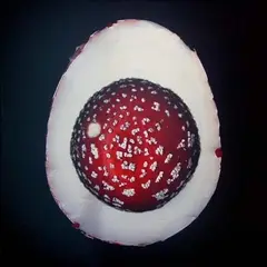 Peeter Laurits, Taeva atlas nr. 23, 2001, Digitrükk
