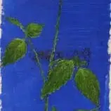 Nimeta by Valeri Vinogradov, 2004, Õli, paber, sold Sep 2005