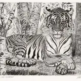 Eduard Wiiralt, Lamav tiiger, 1937, Pehmelakk, kuivnõel