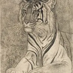 Eduard Wiiralt, Tiiger, 1937, Akvatinta