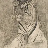 Eduard Wiiralt, Tiiger, 1937, Akvatinta