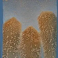 Nimetu by Siim-Tanel Annus, 2003, Akrüül, sold Sep 2004