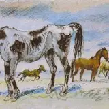 Karl Burman seenior, Hobused