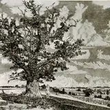 Eduard Wiiralt, Viljandi maastik, 1943, Kuivnõel