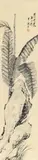 Chen Banding, Chen Banding, Banana plant beside a rock. Hanging scroll. Ink and light colour on paper. Inscription, signed Banding Chen Nian and sealed Chen Nian zhi yin