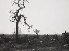 Hermann Claasen, Köln-Lindenthal. Düren. Graveyard at Hürtgenwald, 1944-1947, 3 gelatin silver prints, printed 1970s. Each