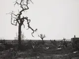 Hermann Claasen, Köln-Lindenthal. Düren. Graveyard at Hürtgenwald, 1944-1947, 3 gelatin silver prints, printed 1970s. Each