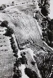 Mario Giacomelli, Untitled