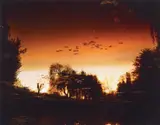 Elger Esser, Giverny VII