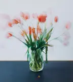 Michael Wesely, 10.2. - 20.20.2007