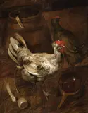 attributed to Jacobus (Jacomo) Victors, Chickens in a Barn, Oil on panel