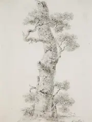 Balthasar Anton Dunker, Study of a Tree, Pencil on paper