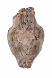Andreas Schlüter, A painted plaster cartouche with the head of a dying warrior., A copy of the cartouche from the central avant corps of the south eastern interior wall of the Zeughaus in Berlin. The plaster painted in imitation of stone. With minor chips, primarily to the edge. H 128, W 87, D