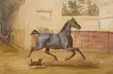 Charles de Luna, Two Horse Paintings, Watercolour on paper. Each