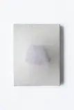 Gotthard Graubner, Untitled, 1968, Cushion painting: Perlon on oil on cushion of foam material on canvas. Approx