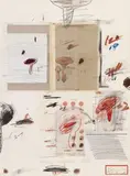 Cy Twombly, Natural History Part I (No.IV), 1974, Grano-lithograph, lithograph, offset, collotype, photochrome print, collage and crayons on cardboard