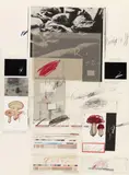 Cy Twombly, Natural History Part I (No.X), 1974, Grano-lithograph, lithograph, offset, collotype, photochrome print, collage and crayons on cardboard