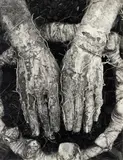 Dieter Appelt, Vergrasung der Hände (from the series: Erinnerungsspur)