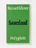 Peter Zimmermann, Reiseführer, 1992, Lacquer on canvas
