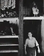 The cock by Herbert List, 1950s, Vintage ferrotyped gelatin silver print on Agfa-Brovira paper, sold Nov 2014