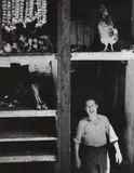 Herbert List, The cock