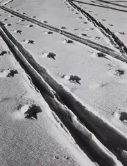 Untitled (Tracks in the snow) by Siegfried Lauterwasser, 1950s, Vintage ferrotyped gelatin silver print on Agfa-Brovira paper, sold Nov 2014