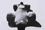 Robert Häusser, J.R. 5-9-70, 1970, Gelatin silver print, printed
