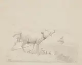 Ernst Fries, A Mother Sheep and Lamb