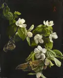 Hans Frank, Quince Flowers and Butterflies, Oil on a thin wooden panel