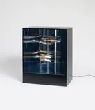 Martha Boto, No. 10 A, 1969, Kinetic object: metal elements in front of mirror backing. In metal object box