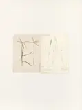Joseph Beuys, Cynodon, 1972, 1972, Blades of Cynodon and pencil on two papers mounted to one another on support card. Approx