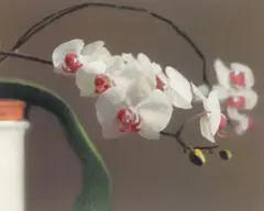 Orchidee II by Gerhard Richter, 1998, Offset print in colors on card between plexiglass plates, sold May 2014