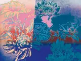 Andy Warhol, Kiku, 1983, Colour screenprint on BFK-Rives card
