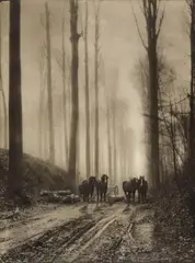Dans la forêt by Léonard Misonne, 1941, Vintage bromoil print, sold May 2014
