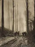 Léonard Misonne, Dans la forêt, 1941, Vintage bromoil print