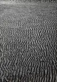 Alfred Ehrhardt, Untitled (from the series: Das Watt [The Wadden Sea])