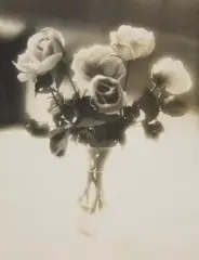 Josef Breitenbach, Untitled, Before 1933, Vintage toned gelatin silver print