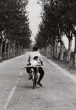 Provence, France by Elliott Erwitt, 1955, Gelatin silver print, printed later, sold May 2014