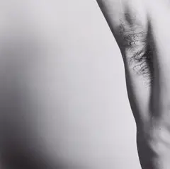 Robert Mapplethorpe, Untitled (Armpit), 1981, Gelatin silver print