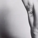 Untitled (Armpit) by Robert Mapplethorpe, 1981, Gelatin silver print, sold May 2014
