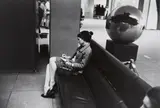 Garry Winogrand, The Museum of Modern Art