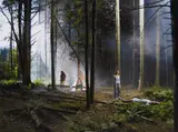 Gregory Crewdson, Production Still (Forest Gathering #4) 'Beneath the Roses', 2003, Chromogenic print, printed