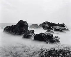 Tadasu Yamamoto, Garden 34, Aki City, Kouchi Japan, 2001, Gelatin silver print