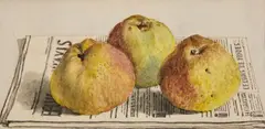 attributed to Albert Anker, Still Life with Three Apples and a Newspaper, Watercolour on paper