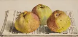 attributed to Albert Anker, Still Life with Three Apples and a Newspaper, Watercolour on paper