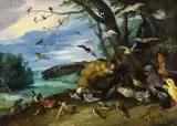 Jan van Kessel the Elder, Birds fighting, Oil on copper