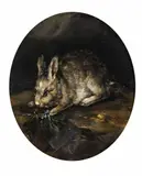 Monogrammist P. v. P 17th & 18th century, Study of a Hare, Oil on panel