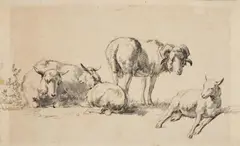 A Ram, a Sheep and two Lambs by attributed to Karel Dujardin, Grey chalk and ink, sold May 2014